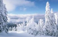 Количество выпавшего в Днепропетровске снега побило 15-летний рекорд, - Гидрометцентр 