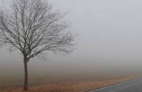 Погода на 23 ноября в Днепре: местами туман и гололедица
