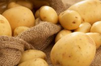 На Днепропетровщине завершили собирать картофель