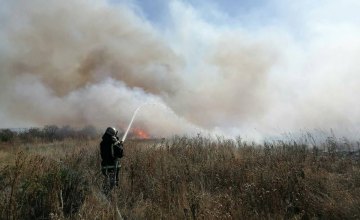 В Никопольском районе пожарные ликвидировали возгорание сухой травы