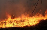 В Днепропетровской области сгорело 43 га леса