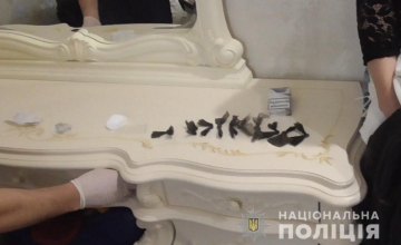 На Днепропетровщине  у 20-летней девушки изъяли наркотики на сумму 65 тыс. гривен