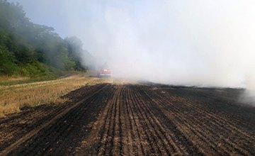 На Днепропетровщине за сегодняшний день уже сгорело 2 поля