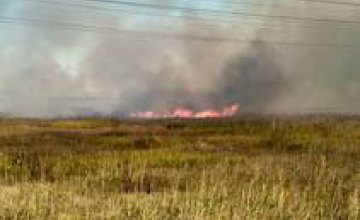 В Павлограде масштабный пожар в экосистеме угрожает птицефабрике