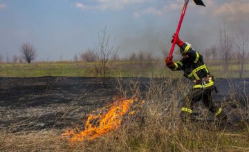 На Днепропетровщине спасатели потушили пожар в экосистеме