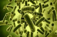 Ученые выявили в домашней пыли около 9 тыс видов микробов