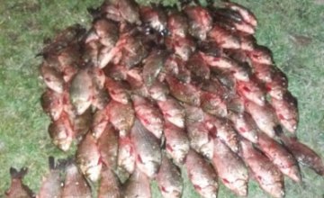За неделю в Днепропетровской области браконьеры выловили рыбы на сумму более 5 тыс.грн