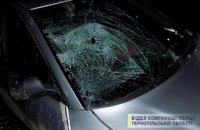 В Тернопольской области водитель Audi сбил мать с дочкой и скрылся с места ДТП