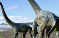 В Австралии обнаружен новый вид динозавров