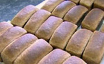 В Днепропетровской области цены на хлеб повышаться не будут 