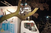 ​В Кривом Роге грузовой автомобиль накрыло десятиметровым деревом: понадобилась помощь спасателей