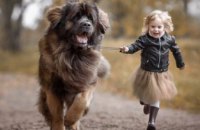   Подборка видео: дети и собаки созданы друг для друга (ВИДЕО)