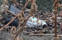 Піротехніки знешкодили на Дніпропетровщині ще 30 ворожих снарядів