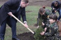 В этом году в городах и районах Днепропетровщины высадят около 150 тыс деревьев и кустарников