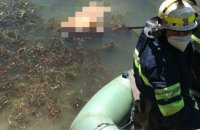 На Днепропетровщине из водоема достали тело неизвестного мужчины 