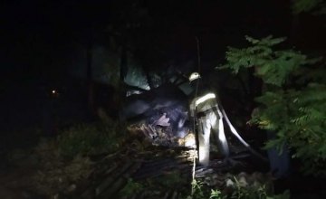 В Пятихатском районе на территории частного дома среди ночи сгорел сеновал