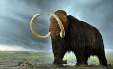 Ученые установили причину гибели последних мамонтов