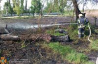 Рятувальники гасили пожежу у Кам'янському: полум'ям була охоплена територія у два гектари