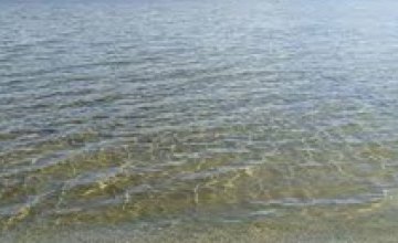 СЭС рекомендует жителям Днепропетровска купаться на официальных пляжах, что бы уберечь себя от лептоспироза