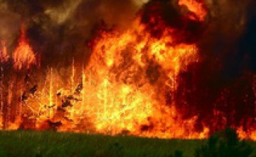 Гидрометцентр предупреждает о чрезвычайной пожарной опасности в Днепропетровской области