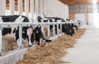 В Вакуловской громаде планируют создать многофункциональную молочную ферму с учебным хабом