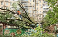 До КП «Міськзеленбуд» надійшли 32 заявки щодо повалення дерев: оперативна ліквідація наслідків негоди у Дніпрі