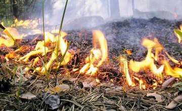 Днепрянам рассказали, сколько произошло пожаров в лесах за период майских праздников