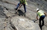 В Колумбии обнаружили древнюю 5-метровую черепаху