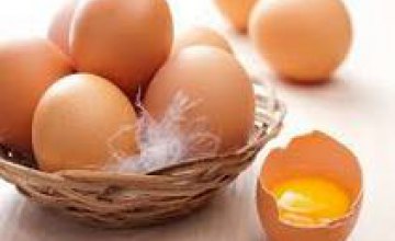 C начала 2015 г. Украина экспортировала яиц на $24 млн 