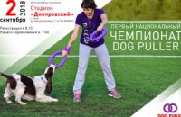 В Днепре пройдут соревнования для собак по Дог Пуллер