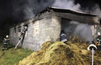 На Днепропетровщине спасатели два часа тушили пожар на сеновале: огнем уничтожено 1,5 тонны сена (ФОТО)