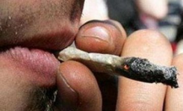 Раввины объявили курение марихуаны богоугодным делом