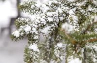 В Украину идет циклон со снегопадами и штормовым ветром: синоптики рассказали о погоде на выходные