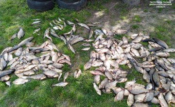 На Днепропетровщине браконьеры выловили рыбу на сумму более 32 тыс. грн 