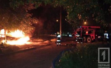 На Днепропетровщине ночью загорелись две машины