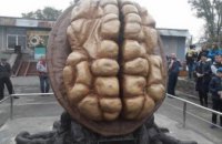 На Днепропетровщине установили памятник грецкому ореху