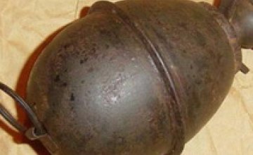 В Днепропетровске в песке нашли противопехотную гранату М-39