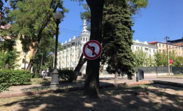 В Днепре дорожные знаки прибивают гвоздями к деревьям (ФОТО)