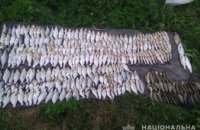  На Днепропетровщине пожилые браконьеры наловили рыбы на сумму более 17 тыс. грн