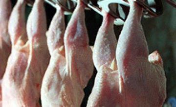 Украина запретила ввоз польской курятины