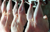 Украина запретила ввоз польской курятины