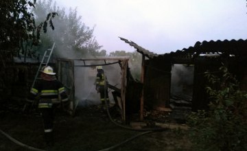 В Петриковском районе на территории частного дома горела хозпостройка 