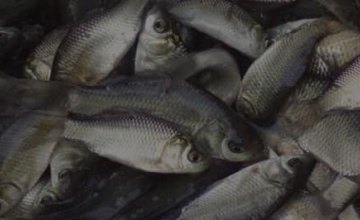 За неделю Днепропетровский рыбоохранный патруль изъял более 50 кг водных биоресурсов