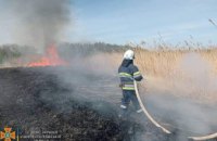 На Дніпропетровщині знову масштабні загорання в екосистемах: рятувальники звернулися до громадян