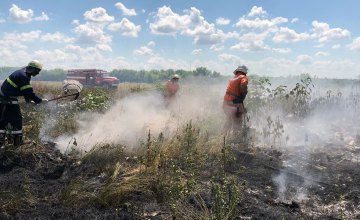 В Днепропетровской области сгорело 3 гектара сухой травы (ВИДЕО)