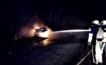 На Днепропетровщине BMW слетел в кювет и загорелся: информация о пострадавших