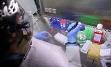 Одесский институт уже может подтвердить или опровергнуть наличие вируса Эболы, - СЭС