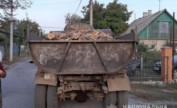 На Днепропетровщине задержали браконьера с грузовиком древесины