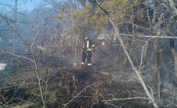 На Днепропетровщине стартовал сезон пожаров в экосистемах