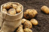  В супермаркетах Днепра начал дорожать картофель